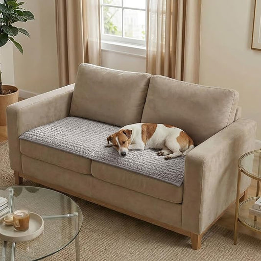 PAULATO BY GA.I.CO. Waterproof Couch Cover – 24x47 Blanket for Sofa Car Seat or Crate – Machine Washable Absorbent Reusable Pad for Puppy Training – Dogs Cats Pets Friendly Protector - Light Grey by PAULATOBYGAICO
