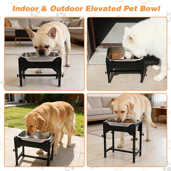 1.25 Gallon Elevated Dog Water Bowl, 4-Height Raised Stand | Stainless Steel Raised Bowl, 4 Heights 9.65-15.16 in, Non-Slip Feet, Small and Medium Dogs, Indoor Outdoor Use, Easy to Clean - Image 7