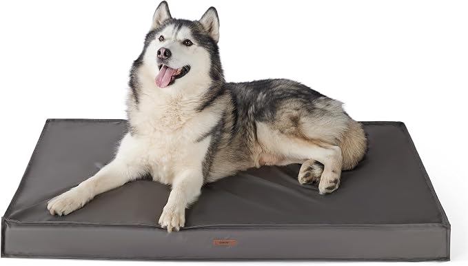 LE SURE Outdoor Waterproof XXL Dog Bed,Orthopedic Pet Mat,48x30In | Crate Pad for Dogs with Oxford Fabric Surface,Removable Washable Cover,Egg Foam Kennel Pads,Non slip Bottom,Grey by Lesure