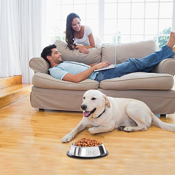 10 Pcs Stainless Steel Dog Bowl Pet Feeding Bowl with Rubber Base Non-Slip Pet Dishes Metal Dog Bowls Pet Food and Water Bowls for Small Medium Animals Kitten Rabbit (18.6 oz) - Image 4