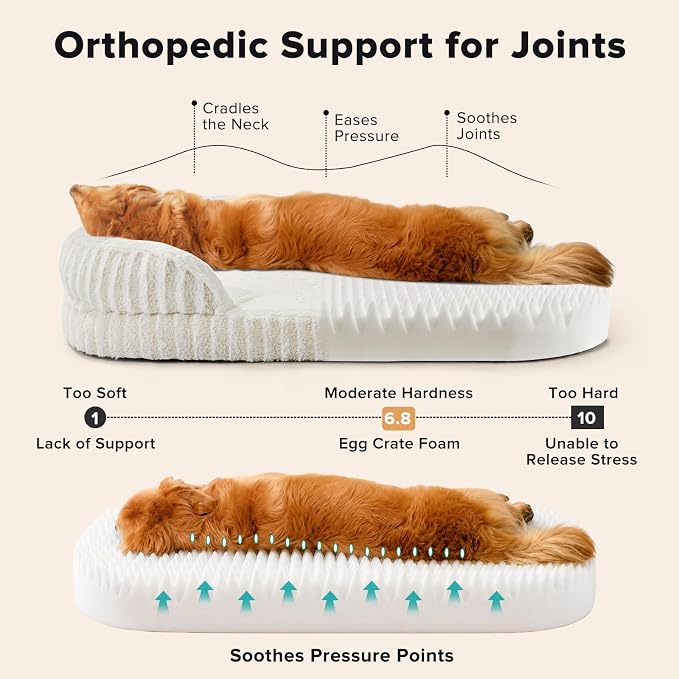 MIXJOY Orthopedic Dog Beds Large Sized Dog,Large Washable Dog Bed Waterproof Oval Dogs Bed with Removable Cover,Egg-Crate Foam Big Pet Bed Couch Sofa with Bolster Sides,Non-Slip Bottom,L 35"X25",White - Image 2