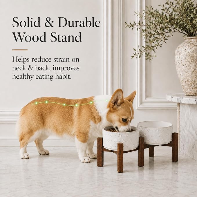 Havniva Elevated Dog Bowls, Ceramic Raised Dog Bowl with Stand | 6.1” Dog Food Bowls Elevated, Dog Food and Water Bowl Set, Non-Slip Acacia Wood Stand, Small Dogs Bowl, 3.4 Cups 27 oz - Image 5