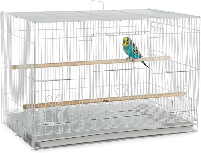 A&E Cage Co 503 Flight Bird Cage for Finches & Parakeets, 24"x16"x16" White | 2 Feeder Stations, Wood Perch, Slide-Out Cleaning Tray, Carry Handle, Safe Bar Spacing for Small Birds by Unknown