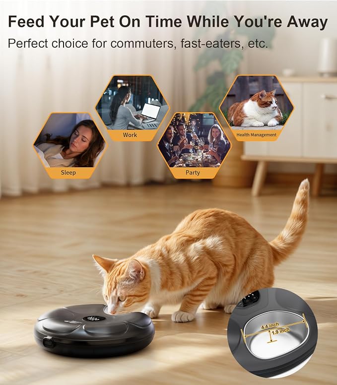 Casfuy Automatic Cat Feeder Cordless - Automatic Cat Food Dispenser with Stainless Steel Tray for Wet Food Rechargeable Auto Feeder for Cats Small Dogs with Programmable Timer Low Battery Indicator - Image 2