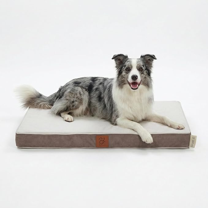 Dog Bed Large Sized Dog Washable，41" x 27" x 4" Orthopedic Memory Foam Dog Bed for Crate,Chew Proof Dog Bed Waterproof,Light Gray by Unknown