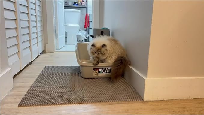 XL Extra Large Cat Litter Box Trapping Mat Honeycomb Tracking Catcher for Indoor Floor, Washable Waterproof Kitty Litter Tray Pads, Keep Your Home Easy Clean, Non Slip and Deodorizing 48x36 Inch by Unknown
