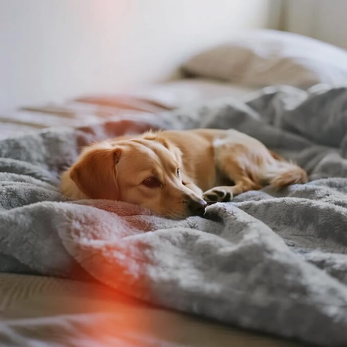 gogobunny Waterproof Bed Blanket, Reversible Sherpa Fleece Throw Blanket for Dog Puppy Cat, Furniture Cover Protects Bed Couch Sofa from Liquid Pee and Pet Fur (Grey, 60x80 inches) - Image 9