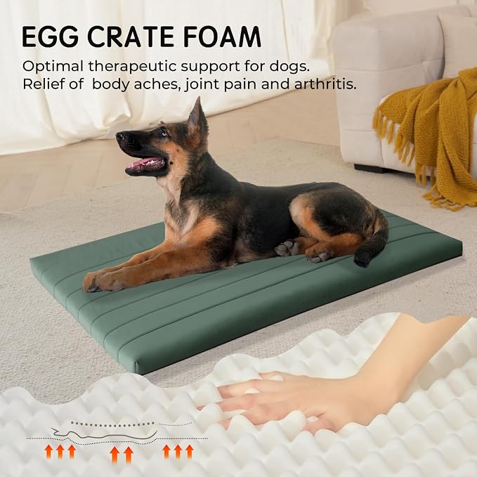 BALANCE Dog Crate Bed, Orthopedic Dog Bed Pad with Waterproof Liner, Washable Crate Foam Pet Mat for Large, Medium, Puppy Dogs Breeds, Mint Leaf, 48"x30"x2" - Image 2