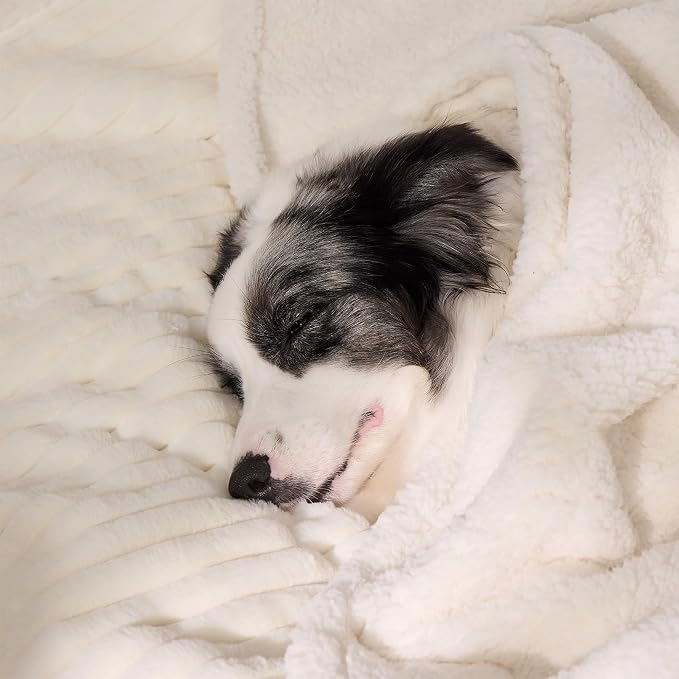 Qeils Waterproof Calming Dog Blanket for Large Dogs, Noiseless Soft Plush Pet Blanket for Bed, 500GSM Thick Faux Fur Pet Throw, Cozy Couch Furniture Protection Washable, Cream, 50x60IN - Image 9