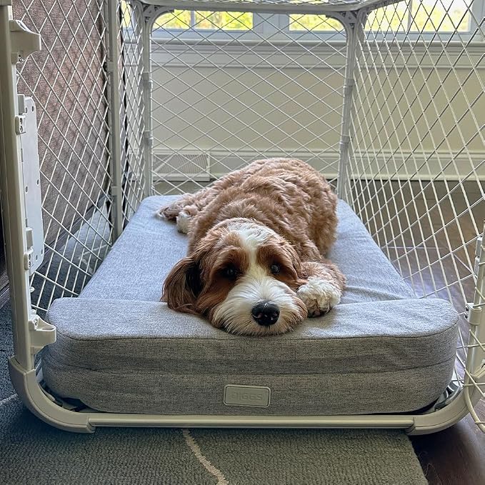 Diggs Bolstr Orthopedic Dog Bed with Headrest - Dog Crate Bed for Evolv Crate & Other Standard Pet Kennels - Durable & Comfortable - (Intermediate) - Image 5