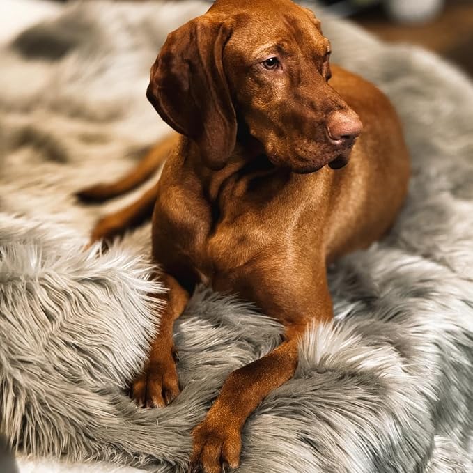 IHAPPYDOG Faux Fur Dog Blanket, Waterproof Couch Cover, Grey 80"x60" | Plush Sheepskin Style Pet Throw for Sofa, Bed, and Car, Washable Furniture Cover that Protects From Fur and Spills - Image 6