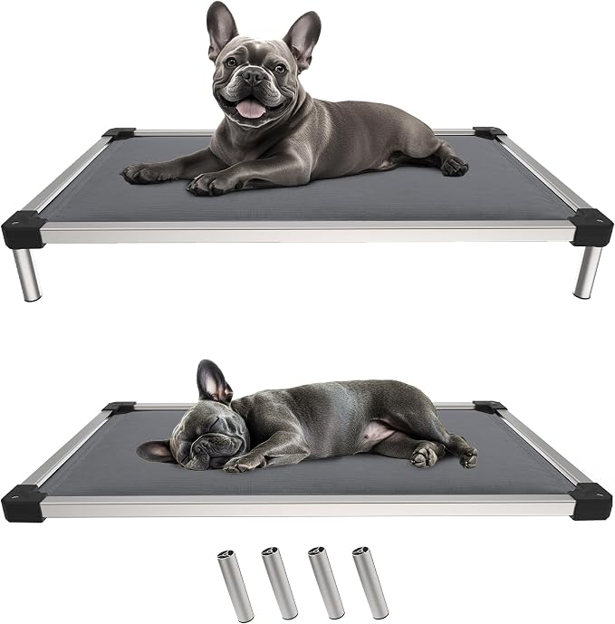 FXW TitanNest Chew-Proof Elevated Dog Bed, Raised Cot for Indoor/Outdoor/Camping Use, Durable & Washable Padded Pet Bed for Extra-Small Dogs, 30.0" L x 22.0" W x 4.5" H, Gray by FXW