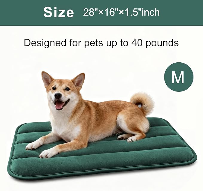 Dog Bed Mat, Reversible Dog Crate Pad with Washable Kennel Mat and Soft Foam, Flat Pet Bed for Dogs & Cats, for Crates Carriers & Travel (Green, 28" L*16" W*1.5" Th) - Image 3