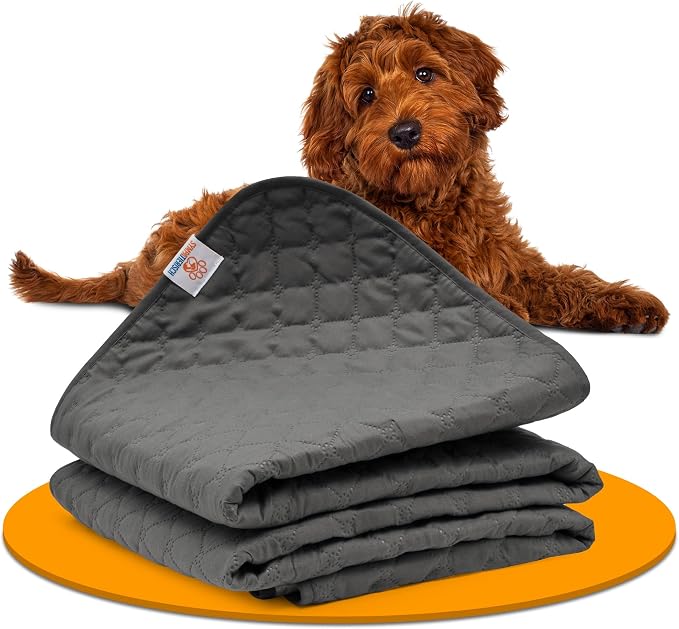 Waterproof Dog Blanket for Couch – Pet Hair Resistant Sofa Protector - Non Slip Dog Couch Cover - Washable Waterproof Pet Blanket for Sofa Bed Car - Reversible Dog Blanket for Couch Protection by Unknown