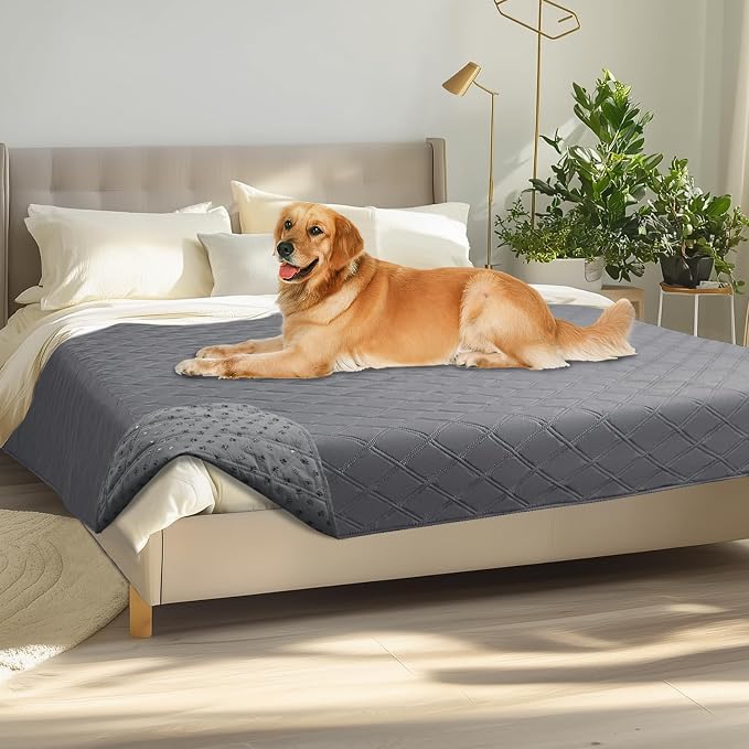 Luciphia Waterproof Couch Cover for Dogs, Non-Slip Pet Sofa Protector | Non-slip waterproof couch cover scratch-resistant machine washable protects sofa bed, Light Grey, 68" x 82" by luciphia