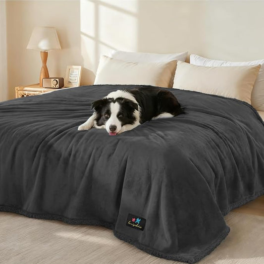 Luciphia Waterproof Pet Blanket, Liquid Pee Proof Dog Blanket for Sofa Bed Couch, Reversible Sherpa Fleece Furniture Protector Cover for Small Medium Large Dogs Cats, Black X-Large（85" x 57"） by luciphia