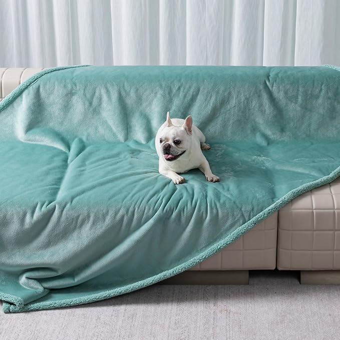 Green Dog Blanket for Pet Bed Cover Reversible Waterproof Puppy Fleece Blankets Leakproof Sofa Couch Cover Doggie Cat Pet Blanket for Warm Fluffy Washable Mat-Green,XL by Unknown