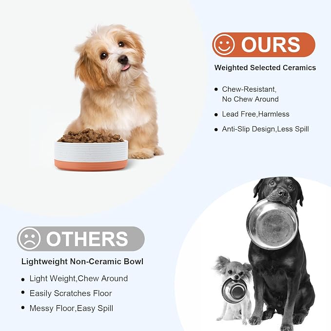 SPUNKYJUNKY Ceramic Dog and Cat Bowls 2 Pack, 5.1'' Dog and Cat Food Water Double Feeding Bowls Non-Slip for Cats and Puppy Small Sized Breed Microwave Dishwasher Safe - 13.5 OZ, 2pcs, Pattern White - Image 3
