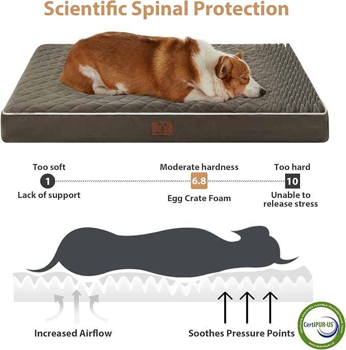 WNPETHOME Orthopedic Waterproof Dog Bed Medium for Comfy Sleeping | Washable Medium Pet Bed with Removable Cover, Multi-Needle Quilting Dogs Crate Bed Dark Green 30x20 Inch - Image 3