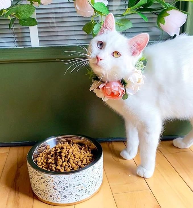 Pet Junkie Terrazzo Single Elevated Pet Bowl Stand, Small, White | Removable Stainless Steel 16oz Inner Bowl, For Small Dog Breed or Cat, Raised Food or Water Station - Image 6