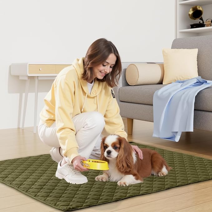 Smiry Waterproof Dog Bed Cover Blanket, Reversible Pet Blanket | Soft Reversible, Washable Leakproof Cats Dogs Couch Cover for Sofa, Couch, Furniture (52x82 Inch) - Image 5