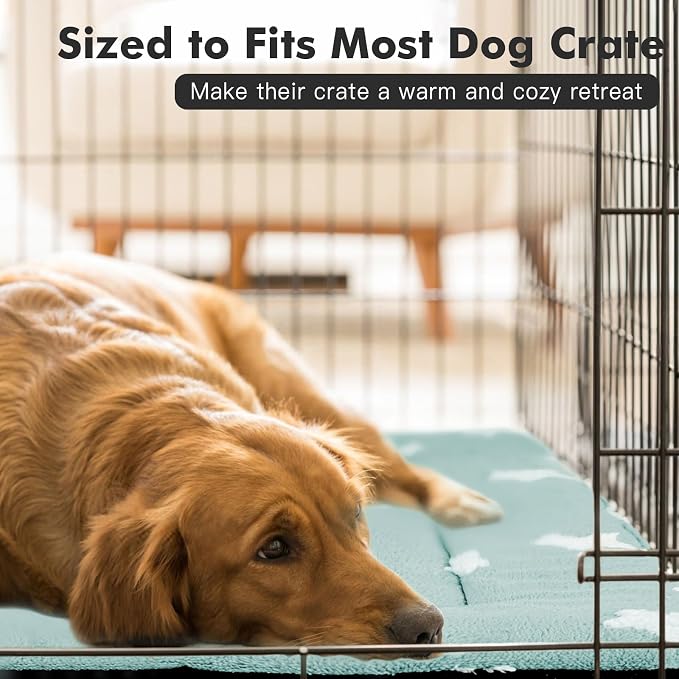 Mora Pets Cat Bed for Indoor Cats Washable Dog Crate Pad Cute Star Dog Bed Mat for Small Dogs Pet Kennel Pad for Cage Soft Flat Puppy Kitten for Sleeping Anti-Slip Blue 22 x 13 inch 2 Pack - Image 5