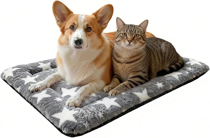 Washable Dog Bed Mat With Anti-Slip Bottom, Deluxe Plush Memory Foam Crate Pad & Waterproof Outdoor Kennel Mat For Dogs & Cats-Durable Crates Beds, Large Medium Small Puppy Size 24" x 18",Gray by Unknown