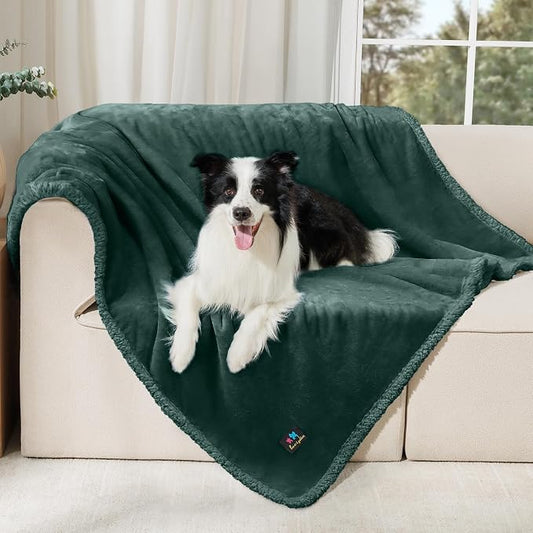 Luciphia Waterproof Pet Blanket, Liquid Pee Proof Dog Blanket for Sofa Bed Couch, Reversible Sherpa Fleece Furniture Protector Cover for Small Medium Large Dogs Cats, Dark Green Large（65" x 57"） by luciphia