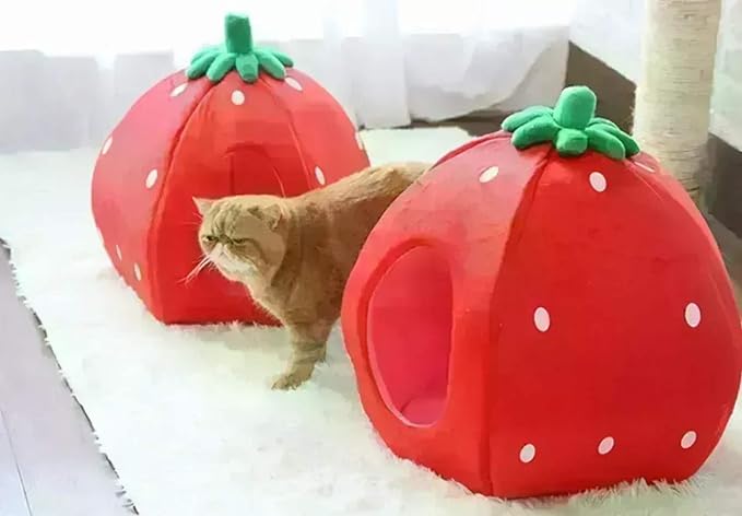 YML Strawberry Pet Bed House for Cats, Dogs, Kittens, Puppies, Rabbits, Medium, Red - Image 4