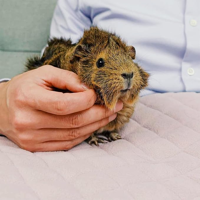 GuineaDad Premium Liner – Fleece Guinea Pig Cage Liner – Ultra-Plush Reusable Fleece Bedding with Waterproof Bottom – Extra Absorbent Liner for 2x3 C&C Cage (Blush) - Image 6