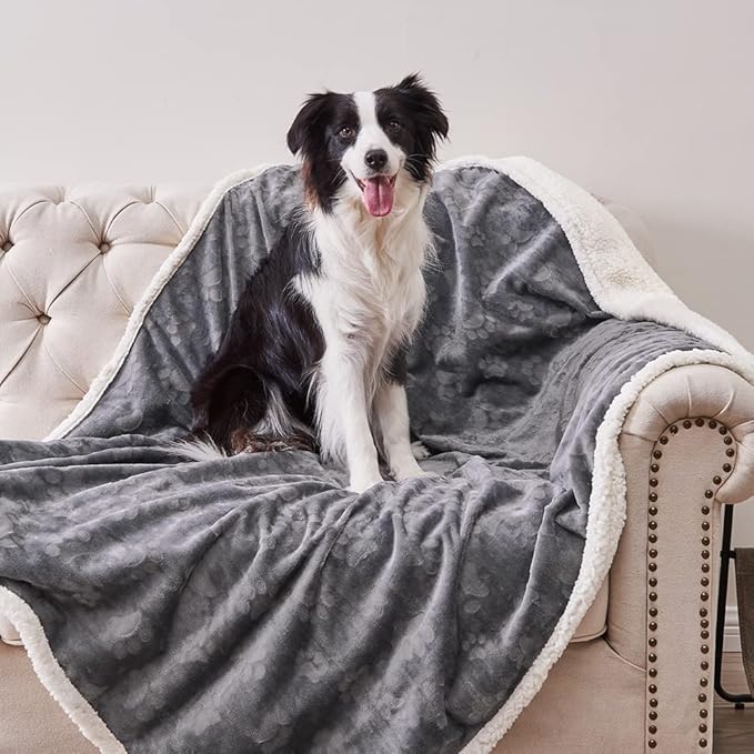 Qeils Waterproof Blanket for Bed, Dog Blankets for Large Dogs, Waterproof Cat Blanket Washable, Soft Sherpa Fleece Puppy Blanket, Reversible Throw Protector for Couch Car, 50"X60", Dark Grey - Image 3