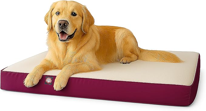 34x48 Burgundy Orthopedic Double Pet Bed By Majestic Pet Products-Large/Extra Large by MajesticPet