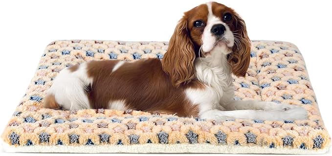 Mora Pets Dog Crate Pad - Ultra Soft Pet Bed With Cute Star Print, Washable Mat for Large Medium Small Dogs, Reversible Fleece Kennel Liner, Cat Bed 23 x 18 Inch Brown by MoraPets