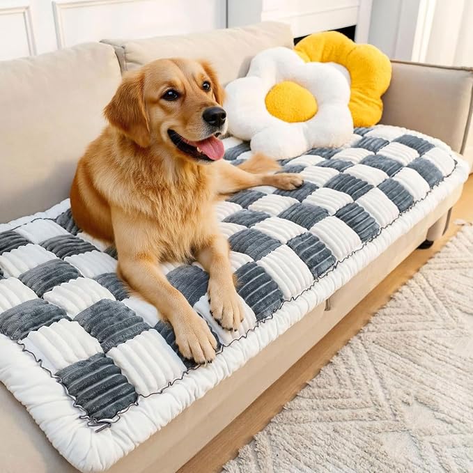 LiveGo Couch Cover for Dogs Washable, Sofa Cover Protector, Couch Covers for 3 Cushion Couch Sofa Pet Friendly, Soft, Non Slip (Cream Blue, 70x210 cm / 27.6x82.7 in) by LiveGo