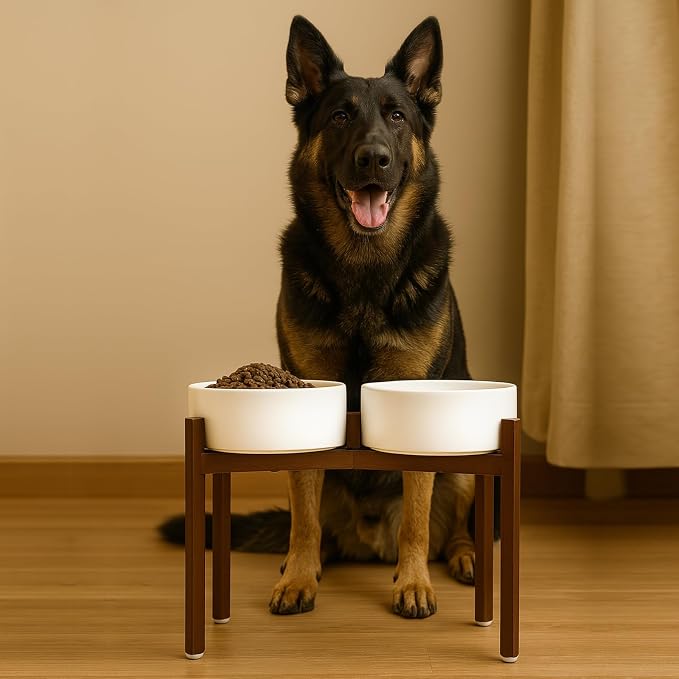 SPUNKYJUNKY Raised Ceramic Dog Bowls Set with Non-Slip Acacia Wood Stand for Large Sized Dog(60.87 OZ, White) - Image 6
