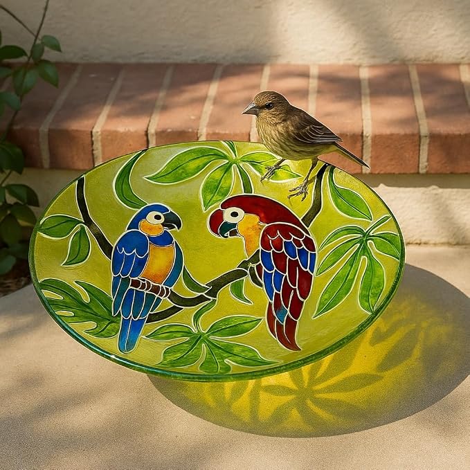 Alpine Corporation 18" Round Outdoor Birdbath Bowl Topper with Colorful Painted Parrot Design - Image 2