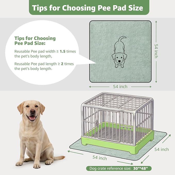 LOOBANI 2 Pack Extra Large Reusable Pee Pads for Dogs, Whelping, 54"x54" | Super Absorbent, Leakproof, Waterproof Washable Dog Mat For Potty Training, Floor, Playpen, Crates, Couch, Bed, Incontinence - Image 2