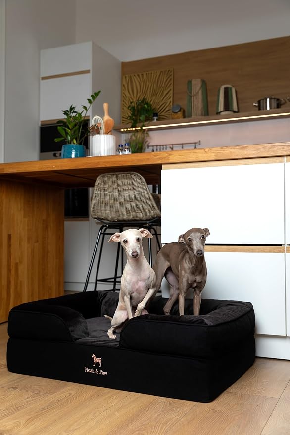 NOAH & PAW Large Dog Bed, 35x25x11 Inch, Orthopedic Dog Beds, Eggshell Memory Foam Infused with Cooling Gel, Inner Cover, Water Resistant, Machine Washable (Denim Sofa Collection) - Image 3
