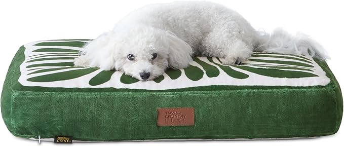 Town & Country Luxe CuddleTown Matisse Everwash® Pillow Pet Bed, Water Repellent Floor Pillow, Machine Washable Cover, Soft & Calming, Green, Small 28"x22"x4" by TOWN+%26+COUNTRY+LUXE