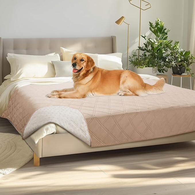 Luciphia Waterproof Couch Cover for Dogs, Non-Slip Pet Sofa Protector | Non-slip waterproof couch cover scratch-resistant machine washable protects sofa bed from spills fur claws, Beige, 68" x 82" by luciphia