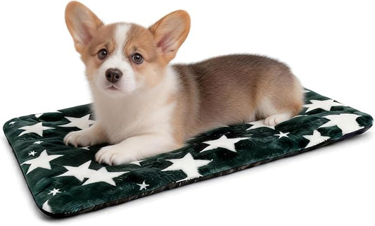 Washable Dog Bed Mat with Anti-Slip Bottom, Deluxe Plush Memory Foam Crate Pad & Waterproof Outdoor Kennel Mat for Dogs & Cats-Durable Crates Beds, Large Medium Small Puppy Size24 x 18",Green by Unknown