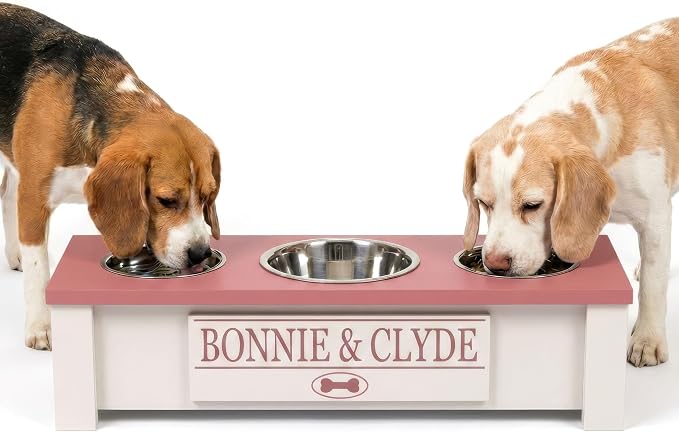3 Bowl Dog Feeding Station, Personalized Triple Bowl Food Stand Small Dogs | Farmhouse Style, Elevated Wood Stand, Storage Container, Stainless Steel Bowls, Raised Feeder, Small Breed, Made in USA by GrooveThisWoodshop