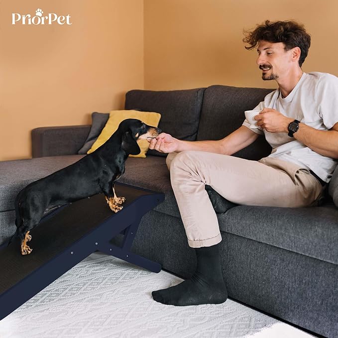 Dog ramp for Couch – Non-Slip, Sturdy Build Foldable Dog ramp – Supports up to 200lbs – Adjustable 7'' to 20'' – Landing Platform Seamlessly Connects – Birchwood Pet Ramp for Small Dogs – Blue