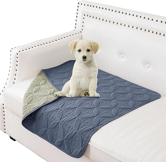 Waterproof Couch Cover for Dogs - Washable Pets Furniture Protector | TPU Leak-Proof Liner, Lightweight & Reversible, Fits Chair, Sofa, Bed, 30" x 30" , Blue/Green by TuffeelHome