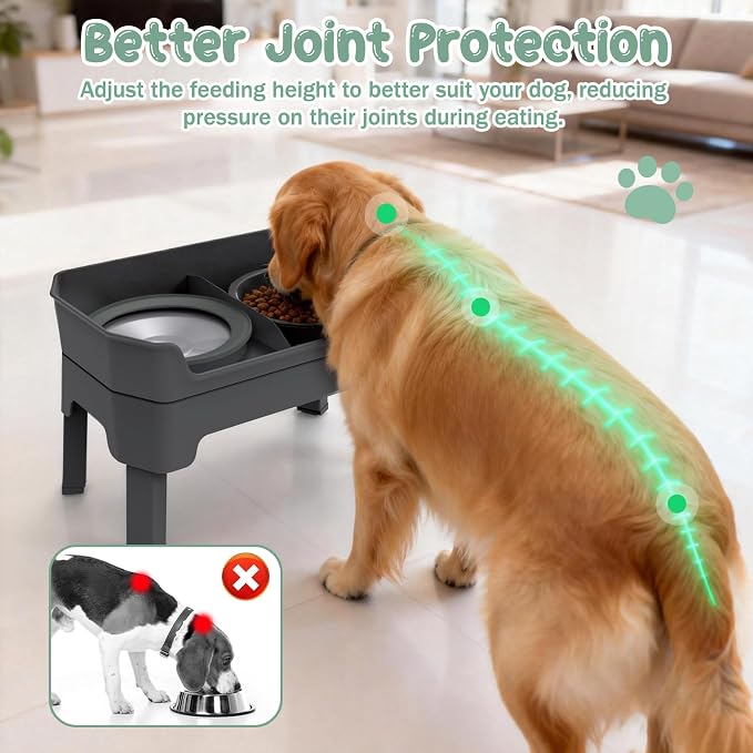 4 in 1 Adjustable Elevated Dog Bowls with 2*Stainless Steel Bowls, Anti-Spill Water Bowl, 4 Heights Raised Dog Bowl Stand for Small to Medium & Growing Large Puppies, Anti-Slip, Mess Proof Design - Image 3