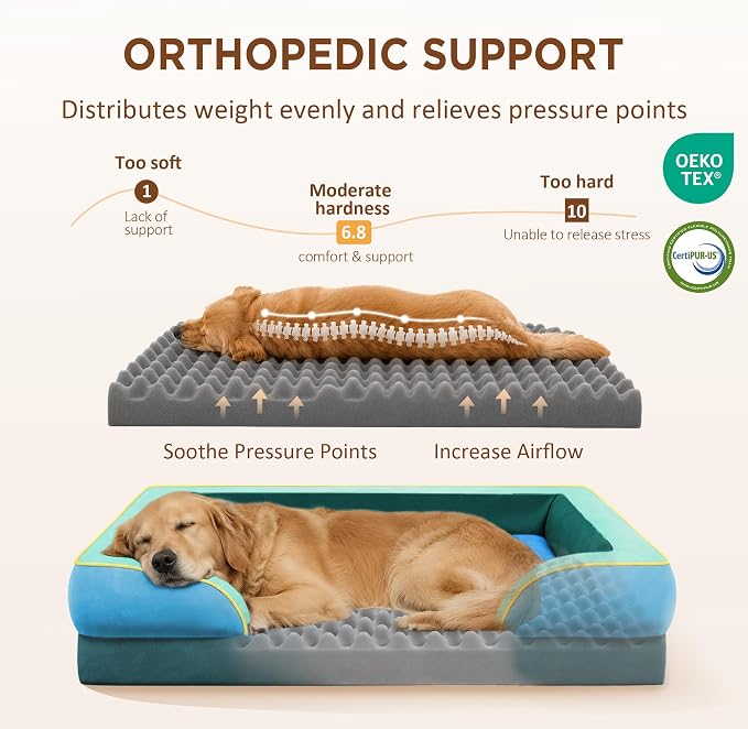 Comfort Expression Orthopedic Dog Bed for Extra Large Dogs with Bolster | Waterproof Dog Couch Bed with Washable Cover & Non-Slip Bottom, Supportive Egg Crate Foam XL Pet Bed, 45x35 Inch - Image 2
