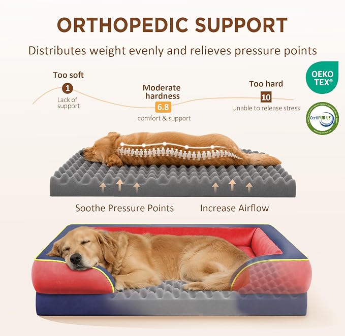 Comfort Expression Orthopedic Dog Bed for Extra Large Dogs with Bolster | Waterproof Dog Couch Bed with Washable Cover & Non-Slip Bottom, Supportive Egg Crate Foam XL Pet Bed, 45x35 Inch - Image 2