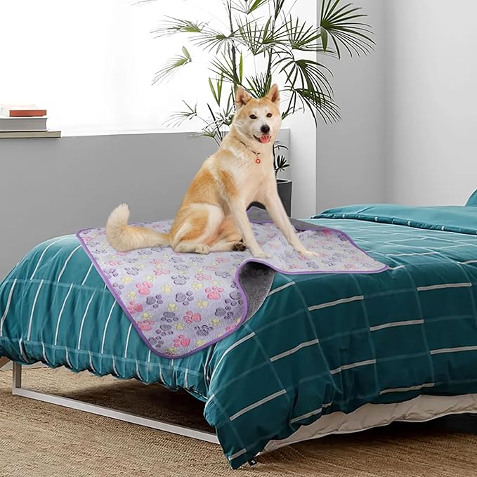 YUEPET 2 Pack Waterproof Dog Blankets, Puppy Blanket for Small-Medium Dogs | Machine Washable, Waterproof Inner Layer, Sofa Bed Cover, Reversible Fleece, 30x20", Small Dogs & Cats, Purple Pink - Image 7