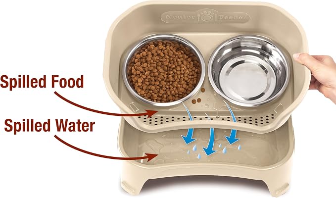 Neater Feeder Express Mess Proof Dog Bowls Elevated for Medium and Large Breed – Made in USA – No Spill Raised Slow Feeder Elevated Dog Bowl Stand, Slow Feed Food and Water Bowl Set, Almond - Image 3