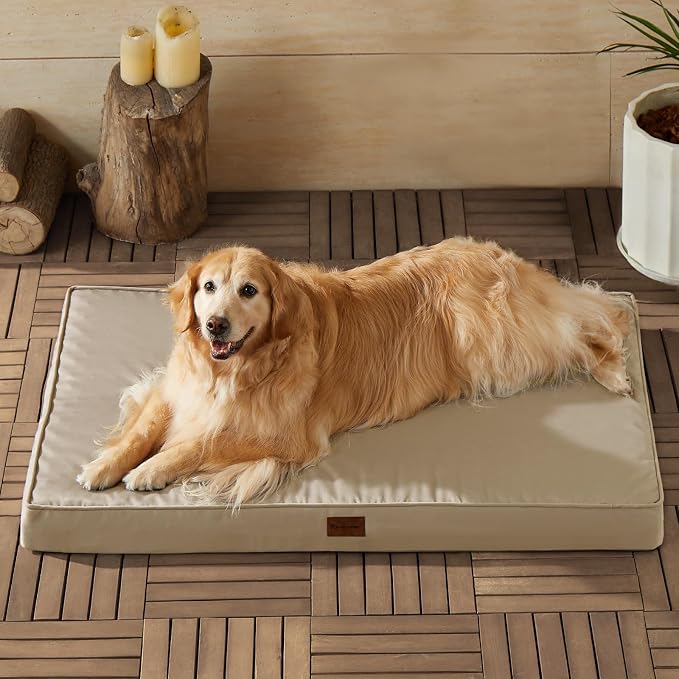 BFPETHOME Outdoor Waterproof Dog Bed for Large Dogs, Washable Cover, 54" | Outdoor & Indoor Use, Waterproof, For Medium, Large, Extra Large Dogs, Orthopedic, Egg Crate Foam, Up to 130 lbs by BFPETHOME